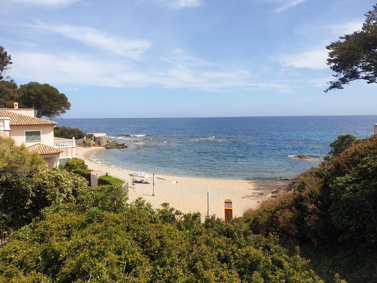 Le Clos D'azur
